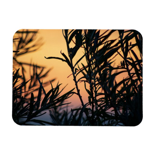 Vegetation bei Sonnenuntergang Magnet (Horizontal)