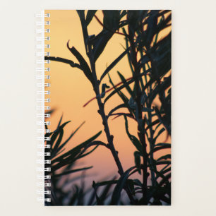 Vegetation bei Sonnenuntergang Planer