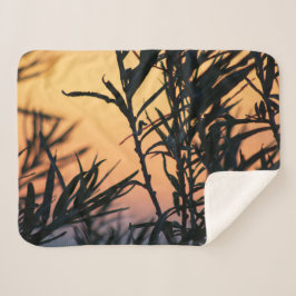 Vegetation bei Sonnenuntergang Sherpadecke