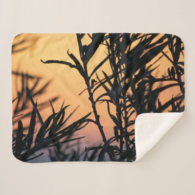 Vegetation bei Sonnenuntergang Sherpadecke (Vorderseite (Horizontal))