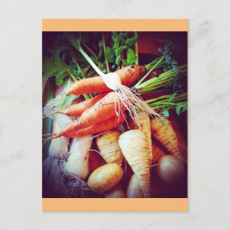 Veggies Postkarte