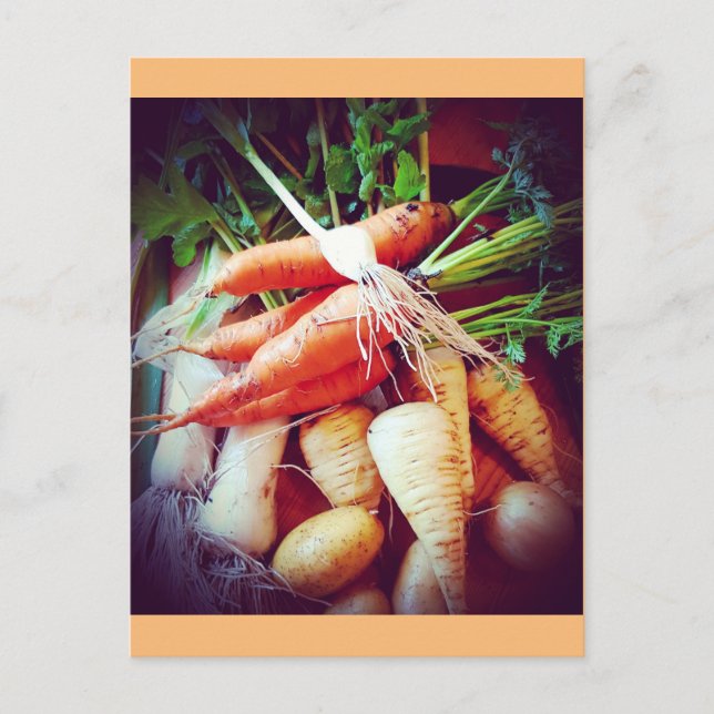 Veggies Postkarte (Vorderseite)
