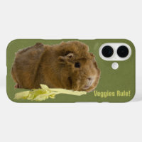 Veggies Regel Niedliche Ingwer Guinea Schweineflei