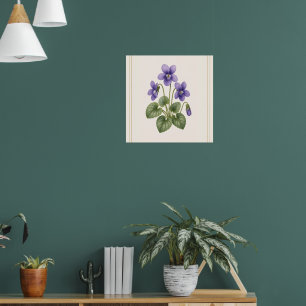 Veilchen Botanik, Februar-Geburtsblume Poster