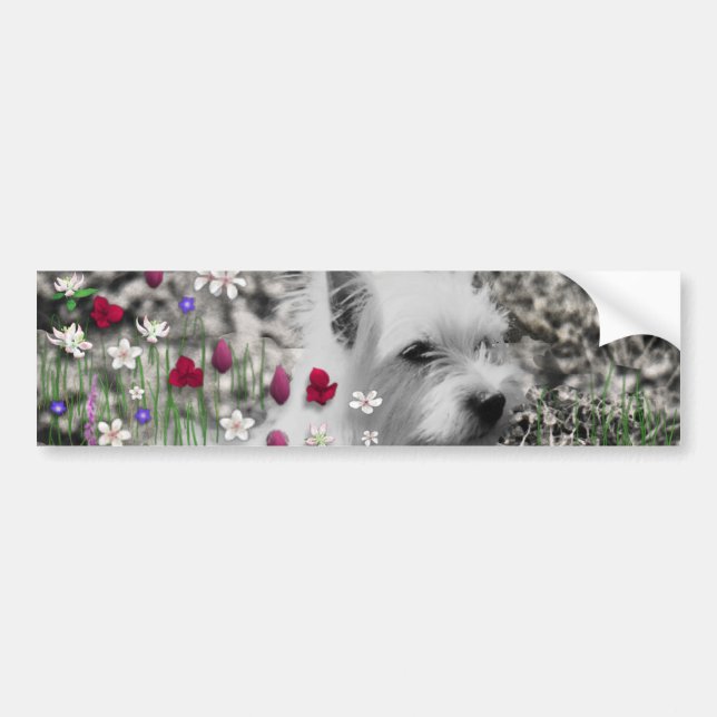 Veilchen in den Blumen - weißer Westie Hund Autoaufkleber (Vorne)
