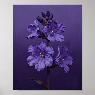 Veilchen in Velours: Eine Studie botanischer Prach Poster