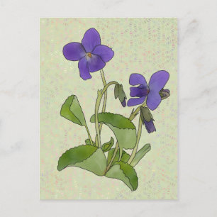 Veilchen Postkarte
