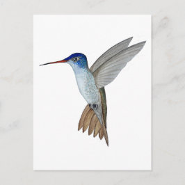 Veilchenkrönchen Postkarte