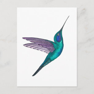 Veilchenohrkolibri Postkarte