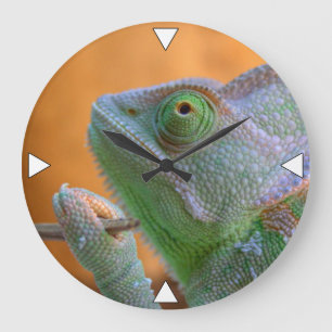 Veiled Chameleon Große Wanduhr