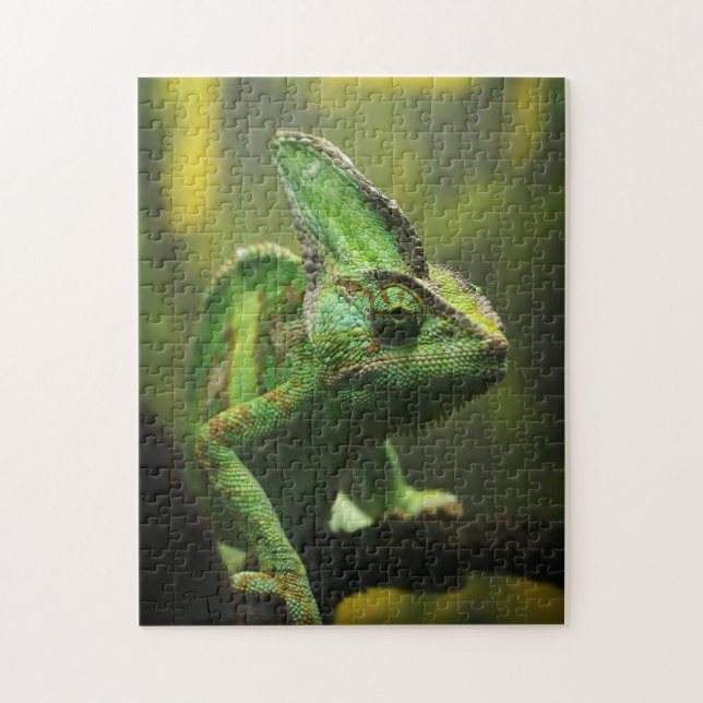 Veiled Chameleon jigsaw Puzzle (Vertikal)