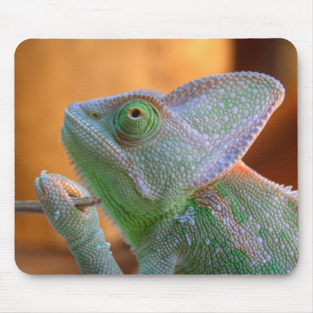 Veiled Chameleon Mousepad (Vorne)
