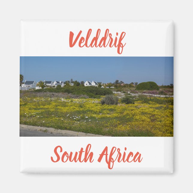 Velddrif Westküste Wilde Blume Südafrika SA Magnet (Vorne)