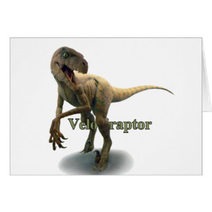 Velociraptor