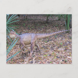 Velociraptor - Dinosaur - Lernkarte Postkarte