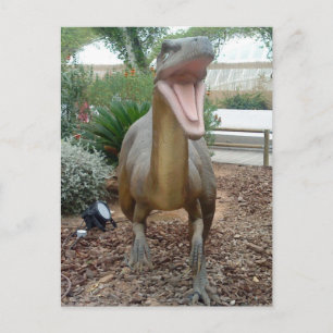 Velociraptor Dinosaur Postcard Postkarte