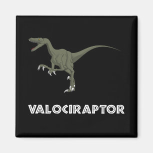 Velociraptor-Dinosaurier Magnet