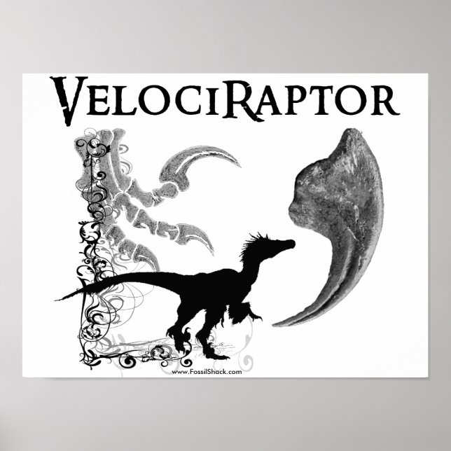Velociraptor Poster (Vorne)