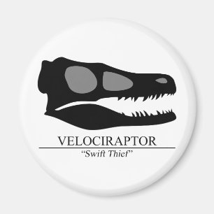 Velociraptor Skull Magnet
