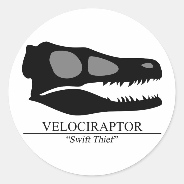 Velociraptor Skull Runder Aufkleber (Vorderseite)