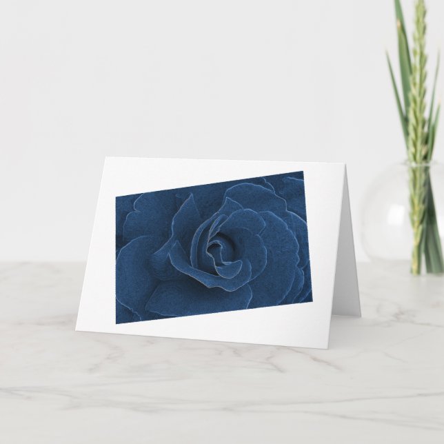 Velvet-blaue Rose Karte (Vorderseite)