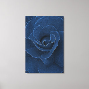 Velvet-blaue Rose Leinwanddruck