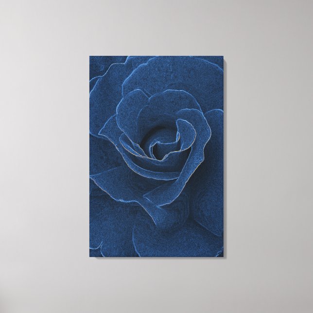 Velvet-blaue Rose Leinwanddruck (Vorderseite)