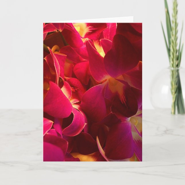 Velvet Dankeskarte (Vorderseite)