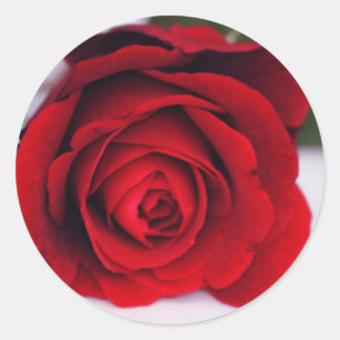 Velvet Fire Runder Aufkleber