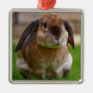 Velveteen Lop Bunny Rabbit Ornament Aus Metall