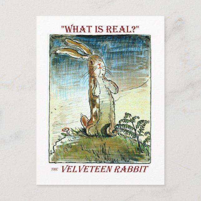 Velveteen Rabbit Ankündigungspostkarte (Vorderseite)