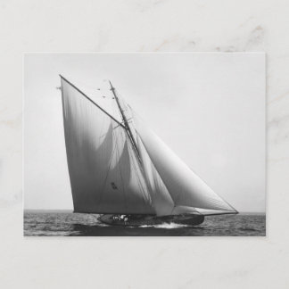 Vencedor: 1897 postkarte