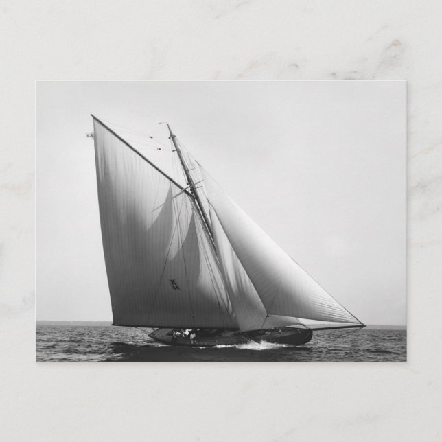 Vencedor: 1897 postkarte (Vorderseite)