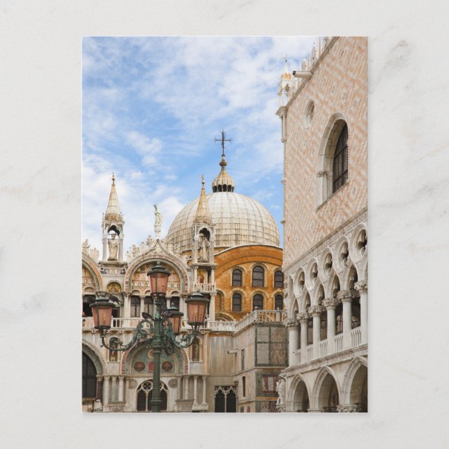 Venedig, Venetien, Italien - Vögel sind auf einer Postkarte (Vorderseite)