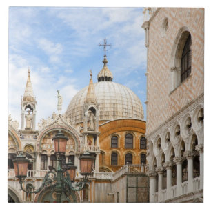 Venedig, Venetien, Italien - Vögel sitzen auf eine Fliese