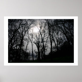 Venen der Natur Poster