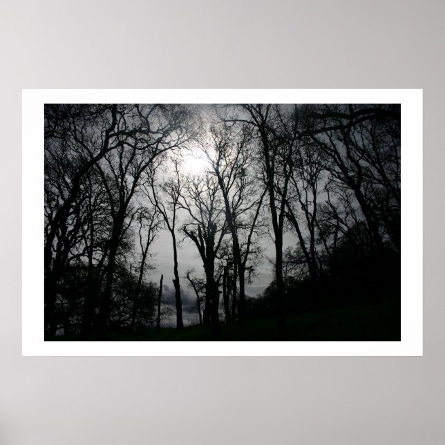Venen der Natur Poster (Vorne)