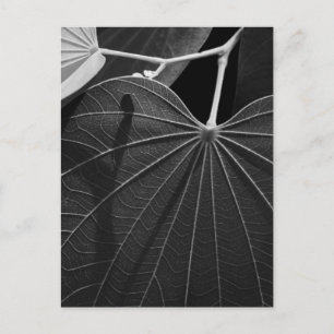 Venen eines Leaf Postkarte