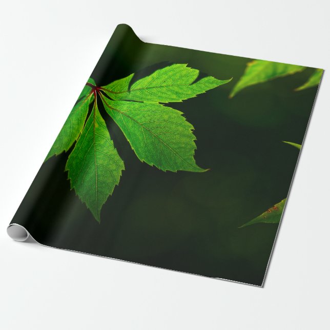 Venenmuster-Pflanze Geschenkpapier (Ungerollt)