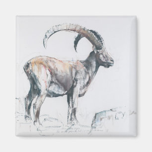 Venerando Stambecco Magnet