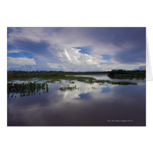 Venezuela, Delta Amacuro, Orinoco-Delta