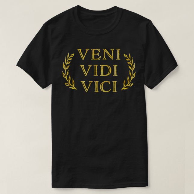 Veni Vidi Vici Funny Vintag T-Shirt (Design vorne)
