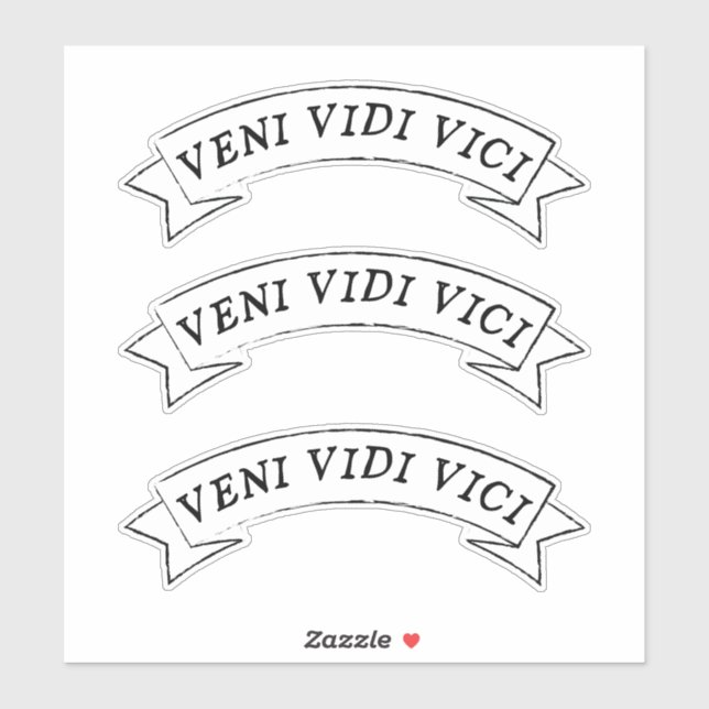 VENI VIDI VICI - Ich kam und sah, wie ich Vinyl er Aufkleber (Blatt)