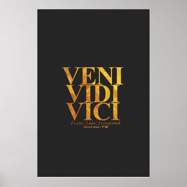 Veni Vidi Vici Julius Cäsar Latin Zitat. Poster (Vorne)