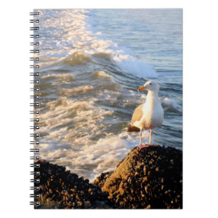 Venice Beach Seagull Notizblock
