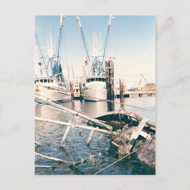 Venice Marina Postcards Postkarte (Vorderseite)