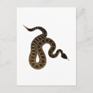 Venomous Bites Postkarte