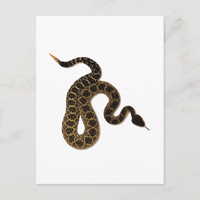 Venomous Bites Postkarte (Vorderseite)