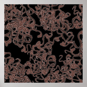 Venomous Elegance Poster