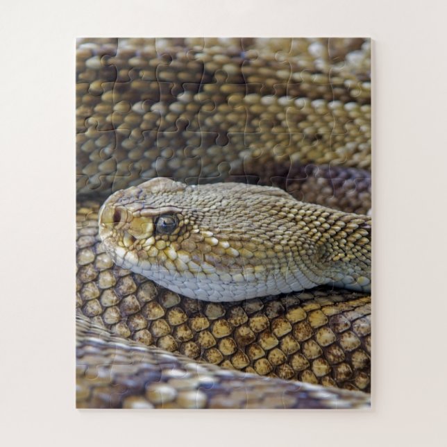 Venomous Rattle Schlange Nah Puzzle (Vertikal)